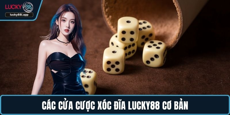 Các cửa cược xóc đĩa LUCKY88 cơ bản
