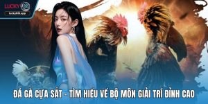 Đá gà cựa sắt